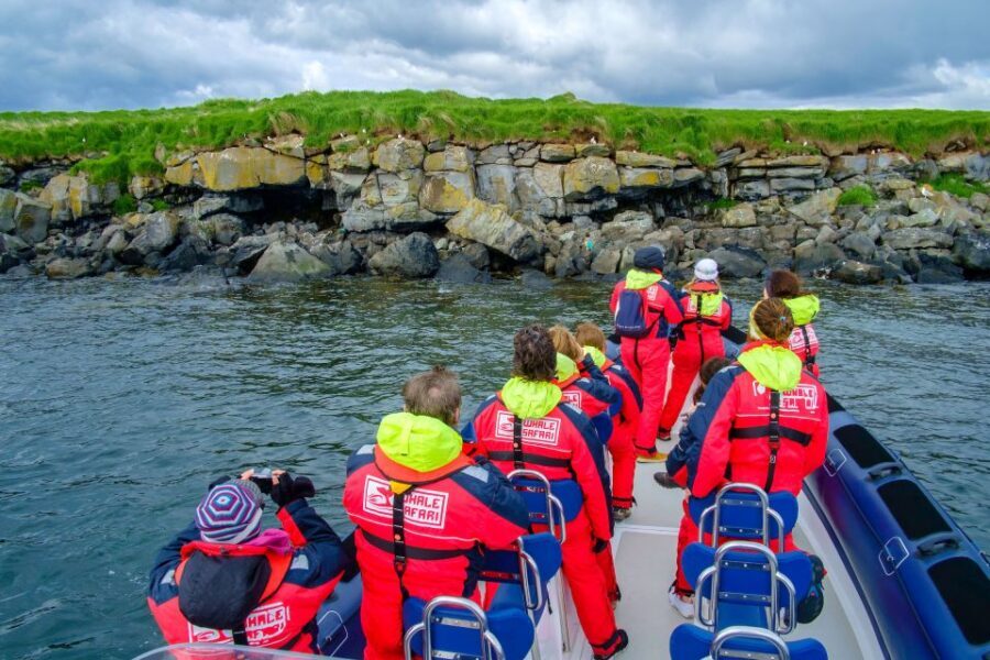 Reykjavik: Puffin Watching Tour - Boat size (up to 38) and why it matters for real spotting