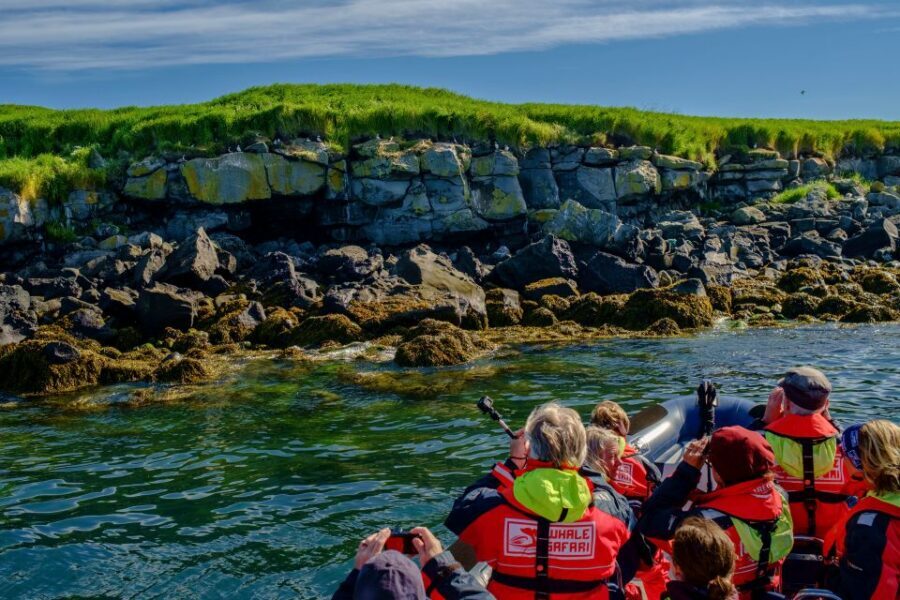 Reykjavik: Puffin Watching Tour - Weather reality: what to wear and how to manage spray