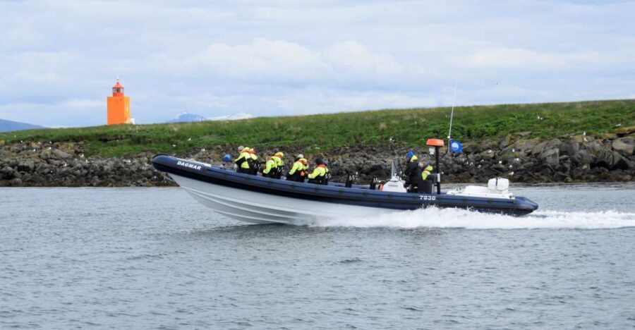 Reykjavik: Puffin Watching Tour by RIB Speedboat - Key things I’d circle before you book