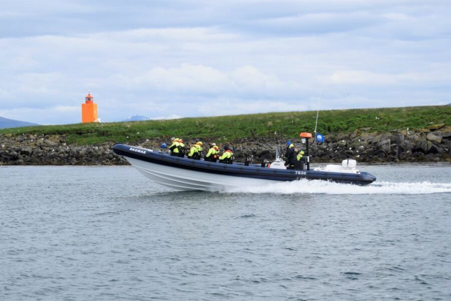 Reykjavik: Puffin Watching Tour by RIB Speedboat - RIB Speedboat Puffins: What You’re Really Buying in One Hour