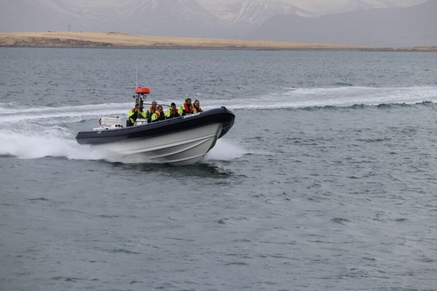 Reykjavik: Puffin Watching Tour by RIB Speedboat - Puffin Behavior: Why You Should Watch More Than You Film