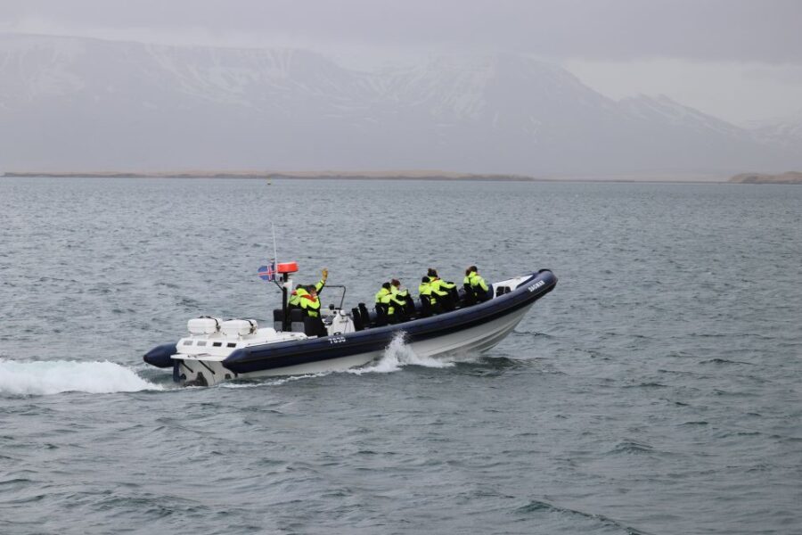 Reykjavik: Puffin Watching Tour by RIB Speedboat - Special Tours App in 5 Languages: Use It Without Overthinking