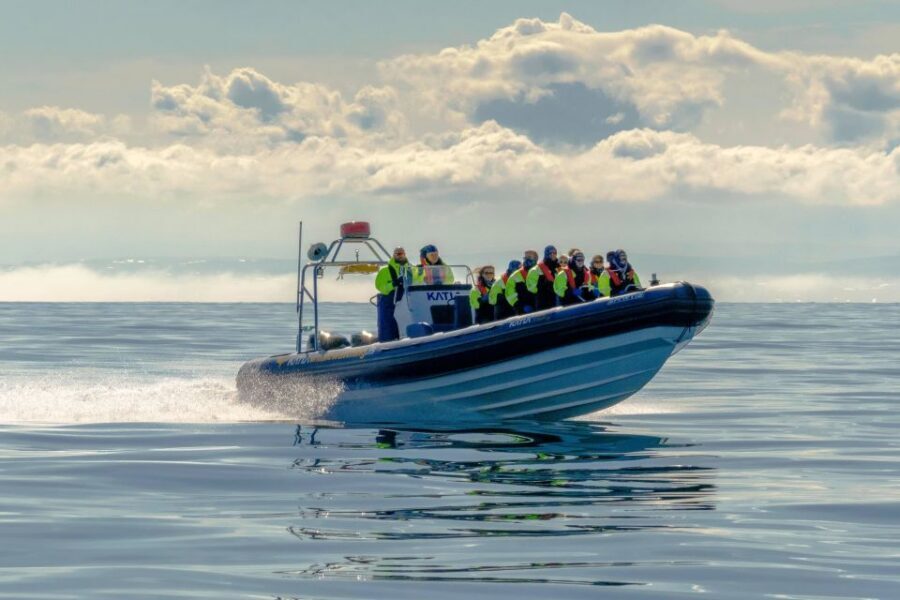 Reykjavík: RIB Speed-Boat Puffin Watching Tour - Sea views of Harpa: the ride is part of the show