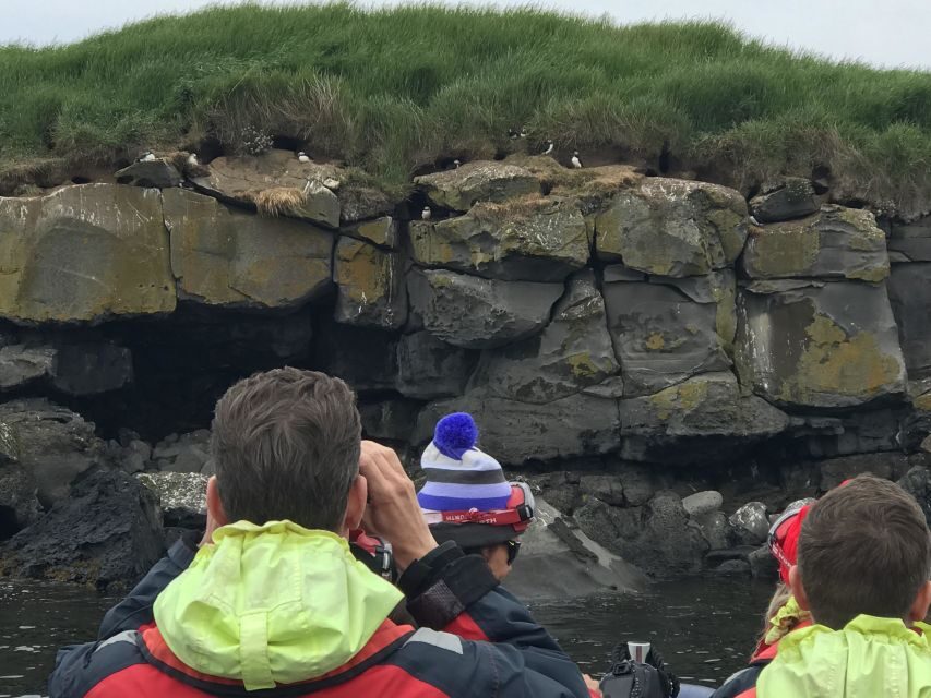 Reykjavík: RIB Speed-Boat Puffin Watching Tour - The guide and the conservation angle you’ll remember
