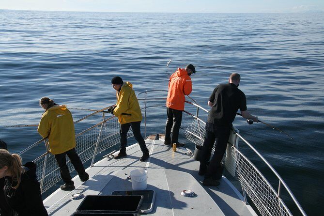 Reykjavik Sea Angling Gourmet - Faxaflói Bay fishing: what you’ll do during the 3 hours