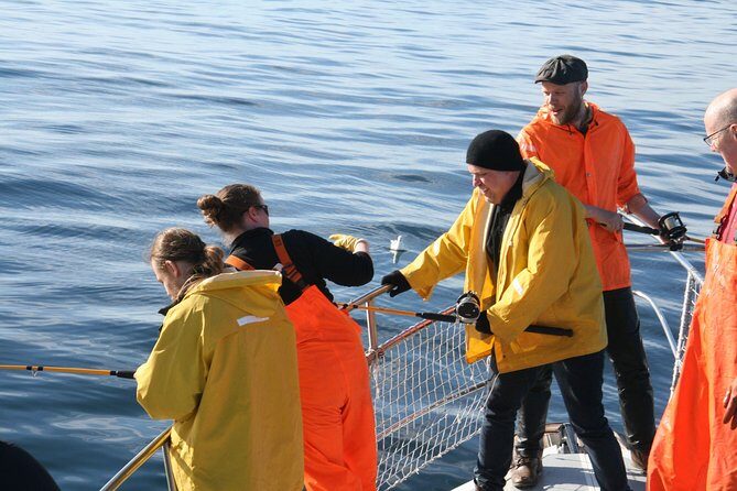 Reykjavik Sea Angling Gourmet - Motion sickness and rougher seas: plan smart
