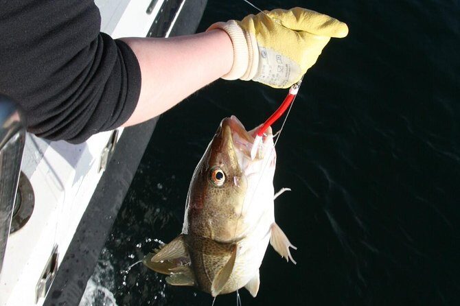 Reykjavik Sea Angling Gourmet - From Hlésgata 1: boarding, getting set, and staying comfortable