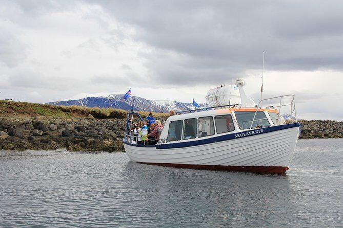 Reykjavik Shore Excursion: Puffin Sightseeing Cruise - How puffin watching really works here (and how to set expectations)