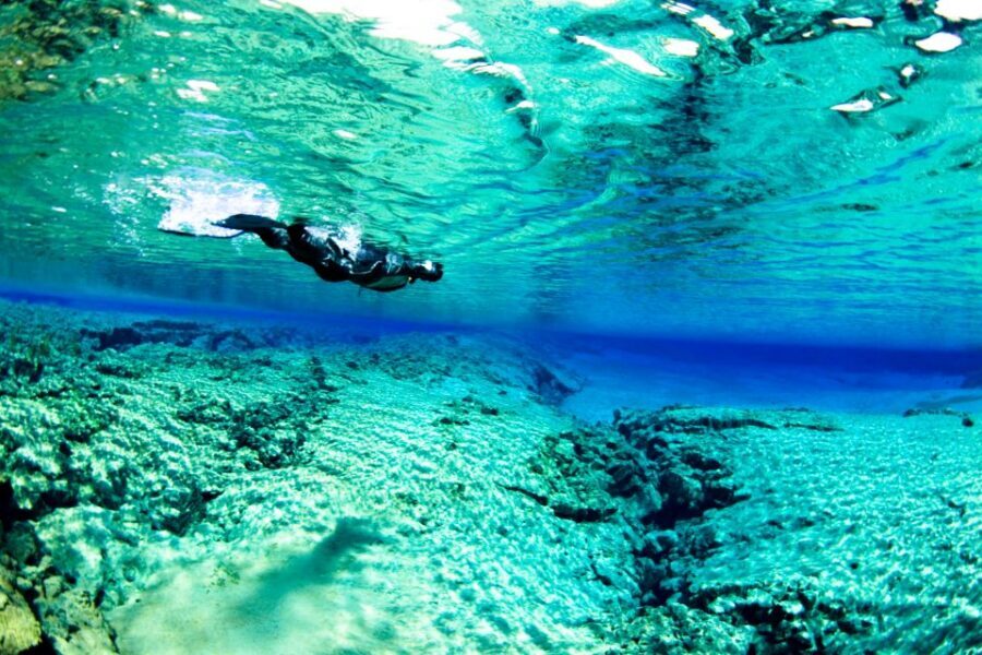 Reykjavík: Silfra Fissure Snorkeling and Lava Caving Tour - Value for $202: What You’re Actually Paying For