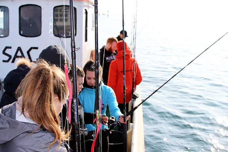 Reykjavik: Traditional Sea Fishing with BBQ Feast - How the 3-Hour Timing Feels in Real Life