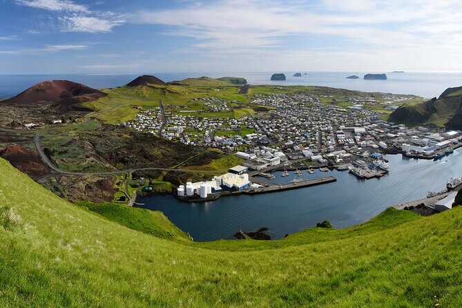 Reykjavik - Westman Islands (Bus transfer to Landeyjahöfn) - Landeyjahöfn arrival: what you do next
