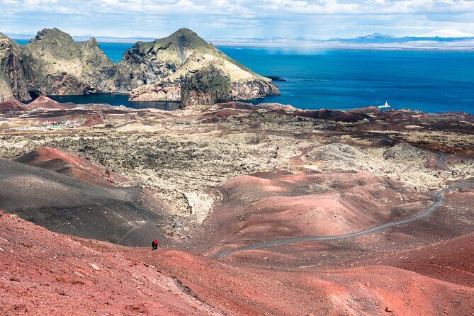 Reykjavik - Westman Islands (Bus transfer to Landeyjahöfn) - Comfort and group size: small bus, big benefit