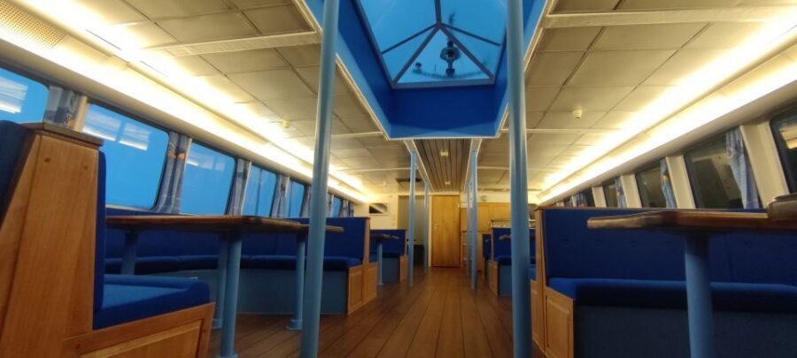 Reykjavik: Whale & Marine Adventure Tour - Price and Value: What $104 Gets You in Iceland Terms