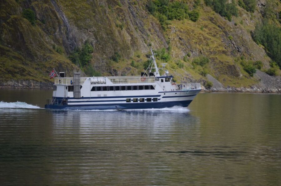 Reykjavik: Whale & Marine Adventure Tour - What to Bring: A Quick, Honest Packing Checklist