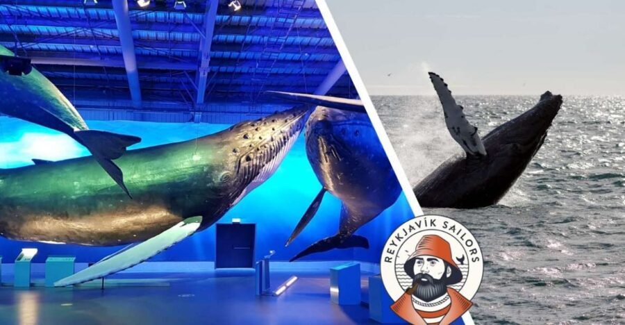 Reykjavik: Whale Watching Excursion & Whale Exhibition - From Geirsgata 11 to the Harbor: Getting Oriented Fast