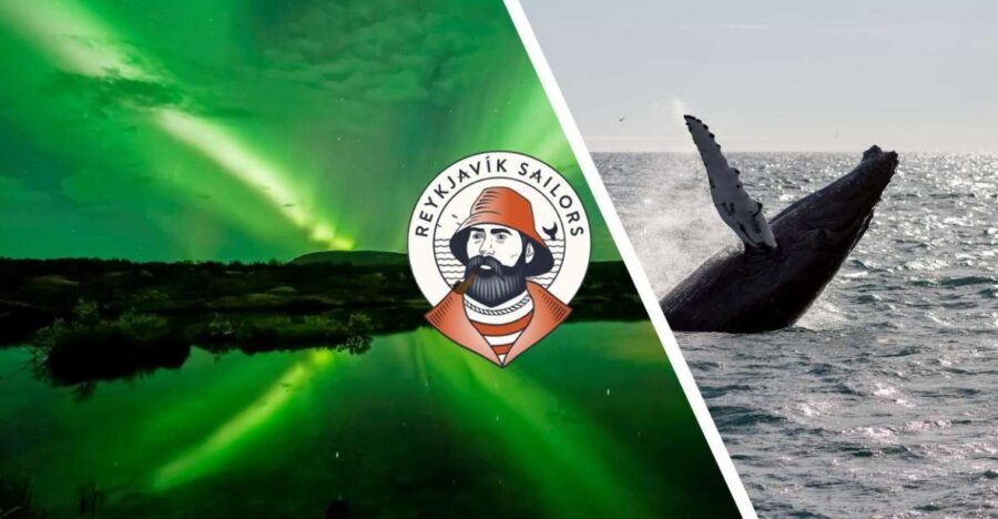 Reykjavik: Whale Watching & Northern Lights Combo Cruise - Getting Comfortable Fast: Overalls, Heated Cabins, and Motion