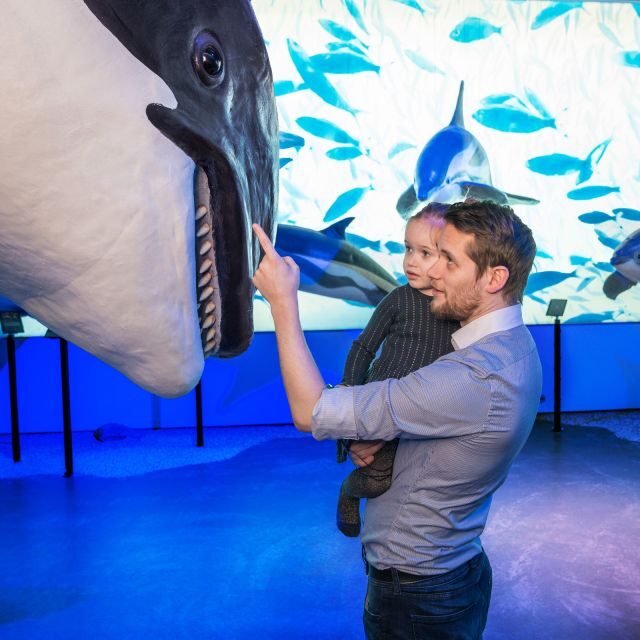 Reykjavik: Whale Watching Tour, Whales of Iceland Exhibition - Key things I’d watch for before you go