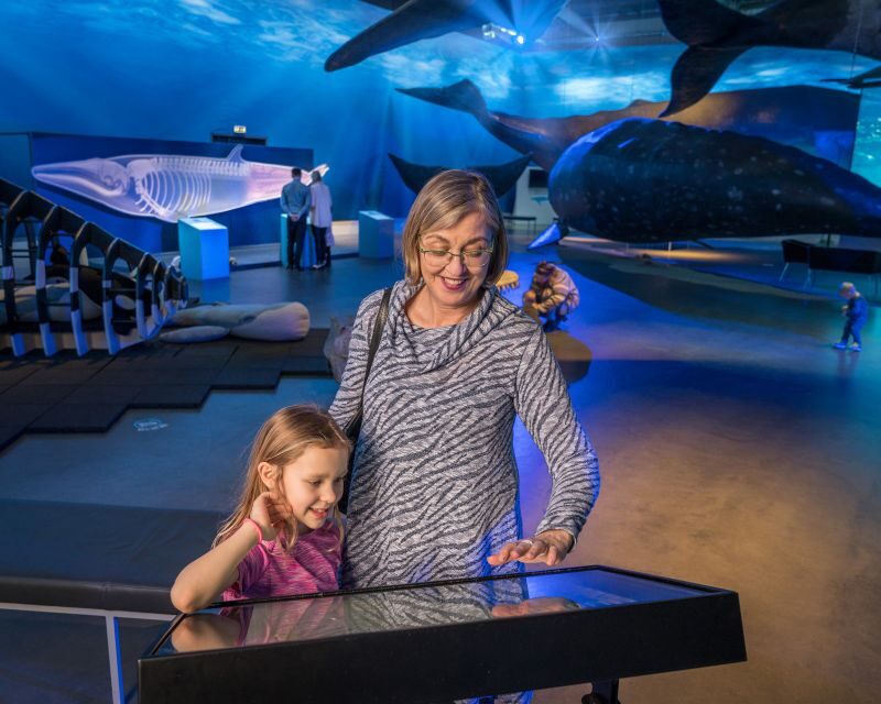 Reykjavik: Whale Watching Tour, Whales of Iceland Exhibition - Whales of Iceland Exhibition: 23 life-size models, VR headsets, and why it matters after the boat