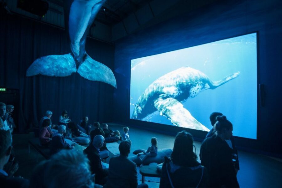 Reykjavik: Whale Watching Tour, Whales of Iceland Exhibition - Should you book this Reykjavík whale watching plus Whales of Iceland combo?
