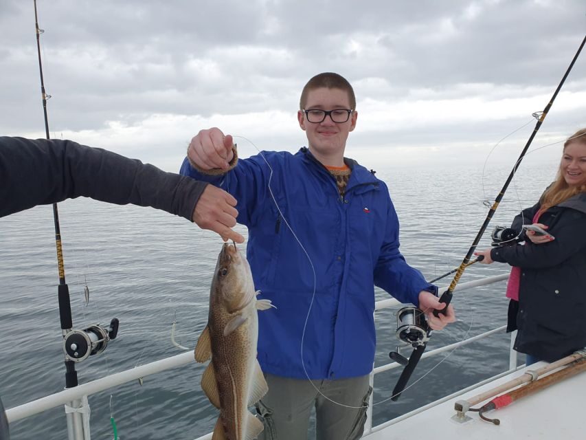 Reykjavik's Finest Catch: Guided Sea Angling Tour - Guided fishing in Faxaflói: what you do once lines hit the water