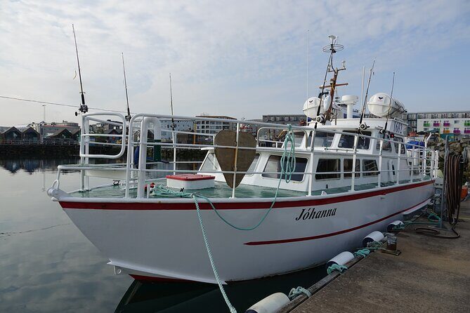 Reykjavik's Finest Catch: Guided Sea Angling Tour for All Levels - Stop 1: Where You Start Fishing and How You Get Help Fast