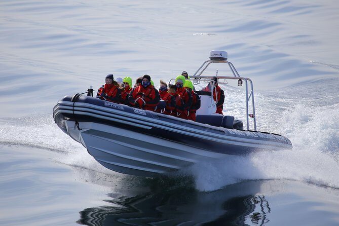 RIB boat express: Whales, Eyjafjord and Akureyri - Getting the most from your Akureyri day: timing, location, and what to bring