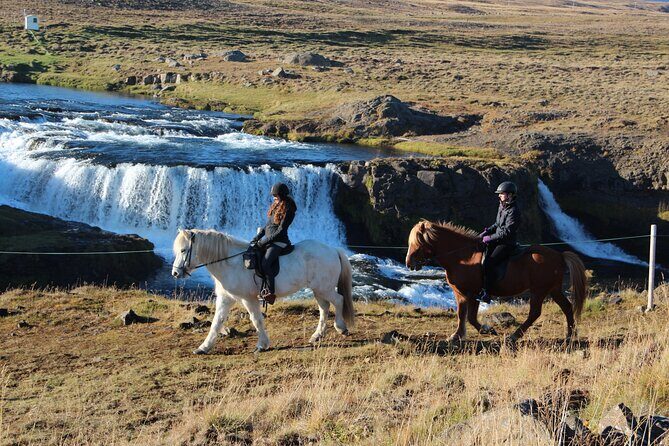 Short Riding Tour with Eye-Catching Photos at Waterfall - Meet at Hestasport and get matched to an Icelandic horse