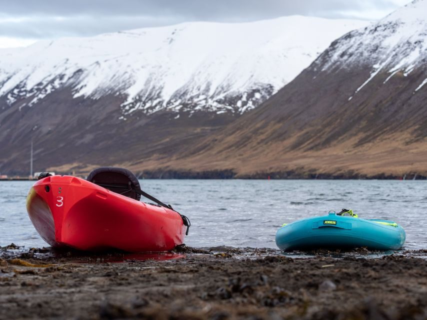 Siglufjörður / Siglufjordur: Guided kayak tour. - Key highlights worth circling