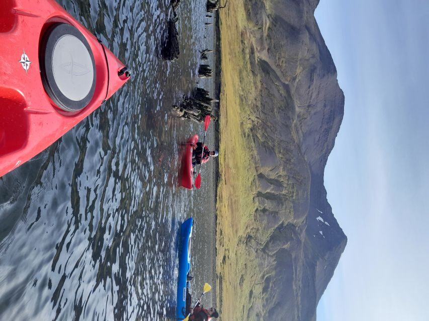 Siglufjörður / Siglufjordur: Guided kayak tour. - Kayaking the Sigló fjord: calm water, big views, real skills