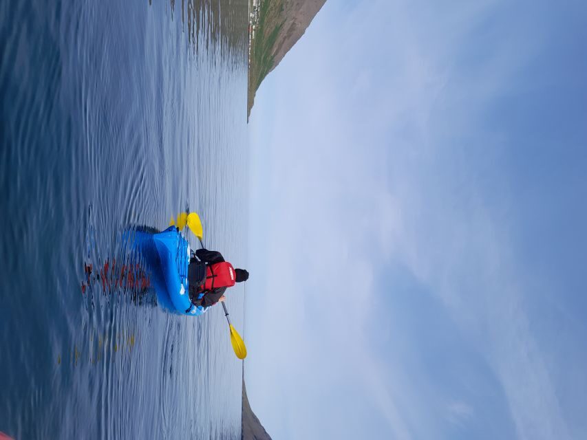 Siglufjörður / Siglufjordur: Guided kayak tour. - The training block: control, communication, and rescue basics