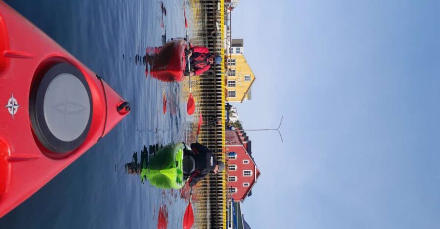 Siglufjörður / Siglufjordur: Guided kayak tour. - Landmarks on the water: shipwreck, Evanger avalanche, and Selvíkurnef lighthouse