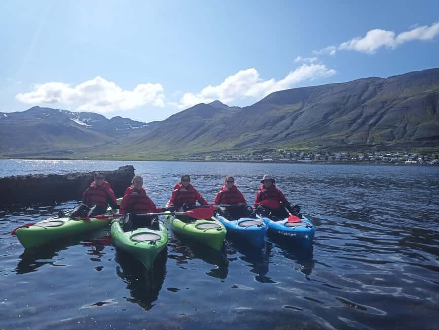 Siglufjörður / Siglufjordur: Guided kayak tour. - Wildlife spotting that actually feels possible