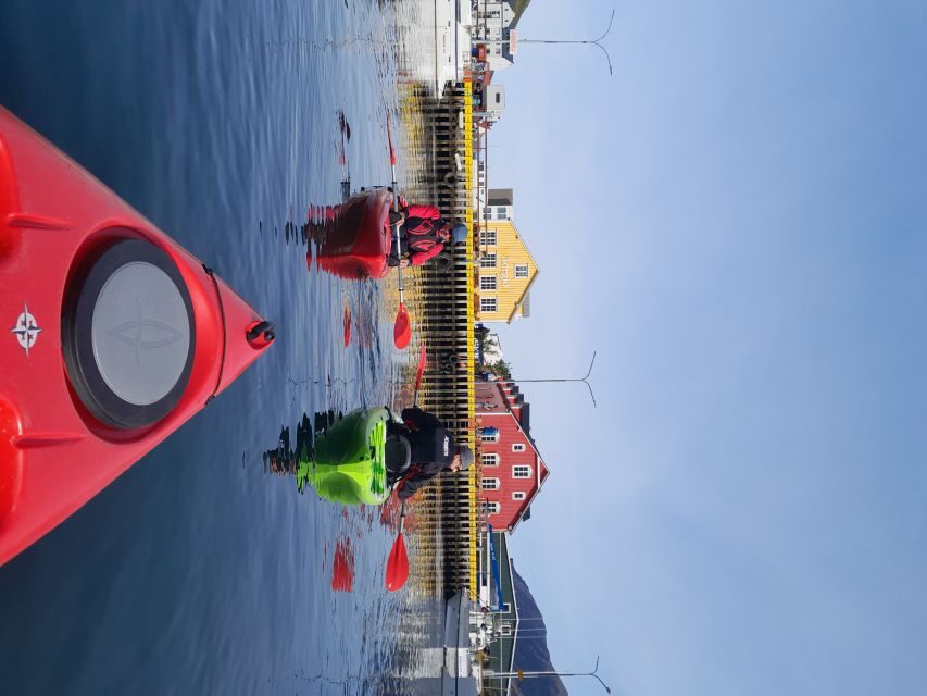 Siglufjörður / Siglufjordur: Guided kayak tour. - Price and value: what $107 covers (and what it doesn’t)
