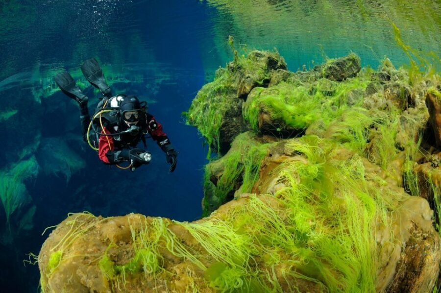 Silfra: Diving Between Tectonic Plates - Practical Tips for Your Best Photos and Comfort