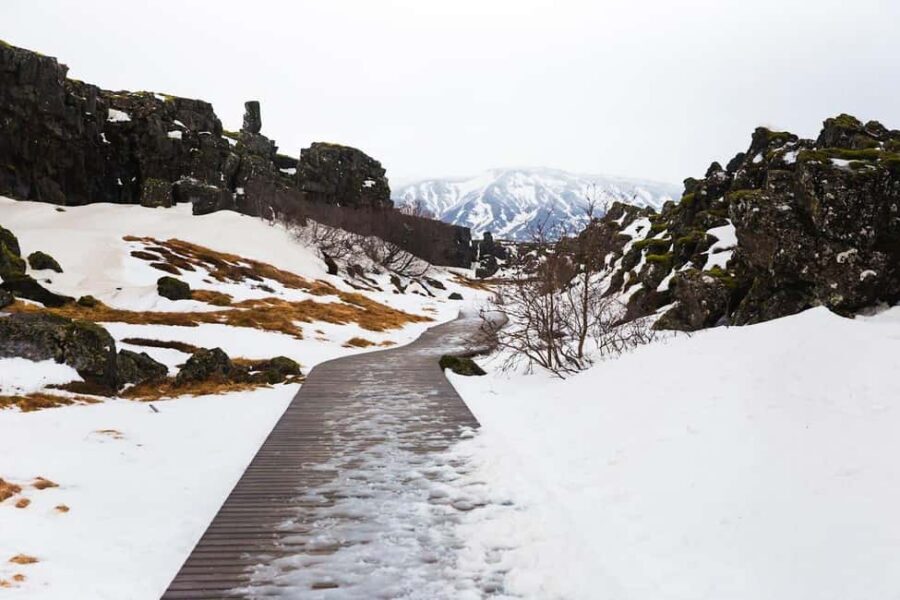 Skarfabakki: Golden Circle Small-Group Full-day Tour - Who this Golden Circle shore excursion is best for