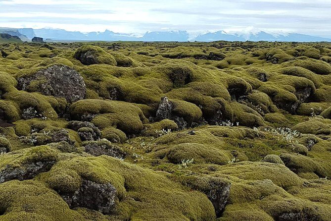Small Group Day Tour to Lakagigar volcano by Super Jeep from Klaustur - Stop 1: Laki Area for Lakagígar and Tjarnargígur Craters