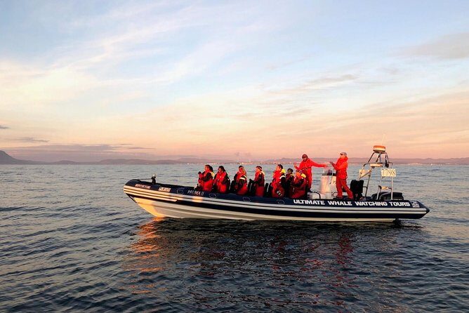 Small-group Whale Watching in the Midnight Sun from Reykjavík - Midnight Sun Whale Watching: What Makes This Reykjavík Night Special