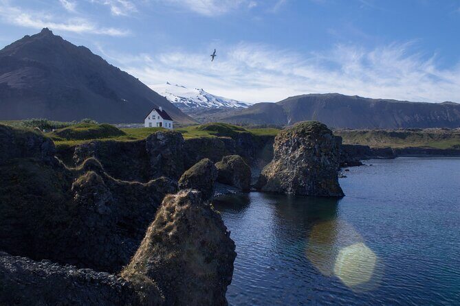 Snæfellsnes in Spanish with lunch on a farm Minibus - Snæfellsjökull and the drive from Reykjavík with big story-energy