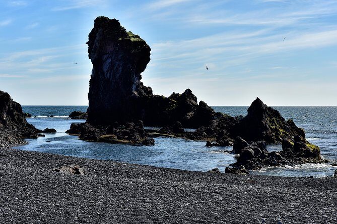 Snaefellsnes NP Small-Group Tour with Local Lunch from Reykjavik - Ytri Tunga Beach and its seal colonies: watch, don’t chase