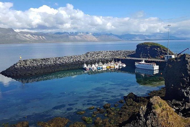 Snaefellsnes Peninsula. Private Day Tour from Reykjavik - Stop 3: Arnarstapi fishing village and the Gatklettur arch
