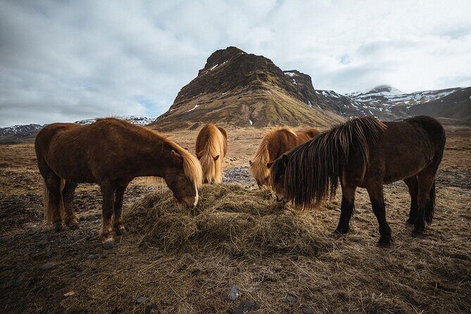 Snæfellsnes Peninsula | Private tour | PRO Photos included - The Pro-Photographer Photo Package: What You Actually Get