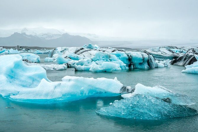 South Coast and Glacier Lagoon - Private - Stop 4: Reynisdrangar and bird-life spotting