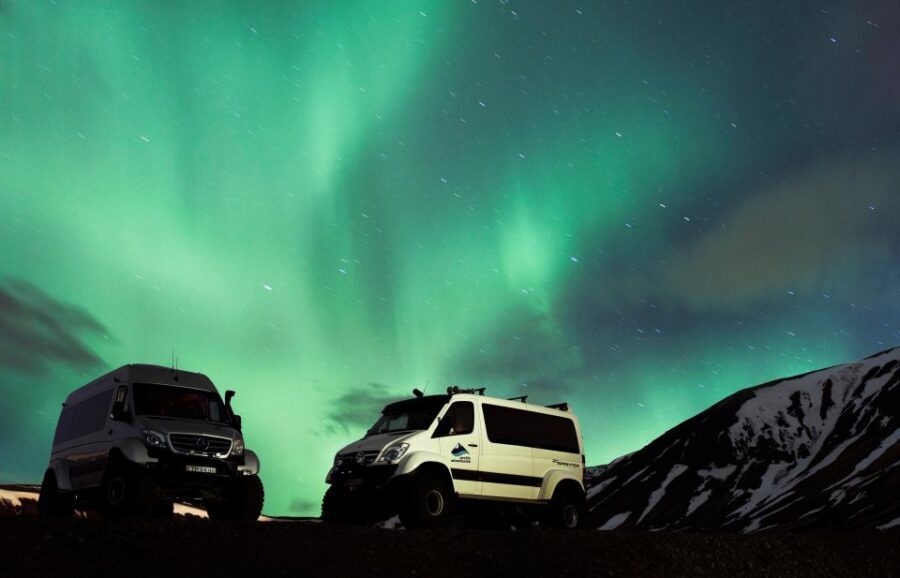 South Coast, Glacier Hike and Northern Lights Winter Tour - Reynisdrangar Cliffs and Skógafoss Steps: From Seabirds to Waterfall Climbing