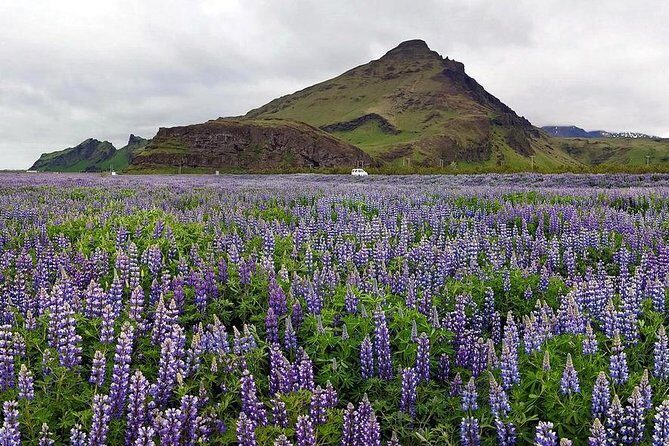 South Coast. Private Day Tour from Reykjavik - Seljalandsfoss: the waterfall you can walk behind (and why it’s worth the effort)
