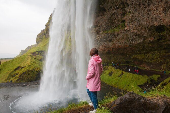 South Iceland, Glacier and Black Sand Beach Small Group Tour - Key points to know before you go