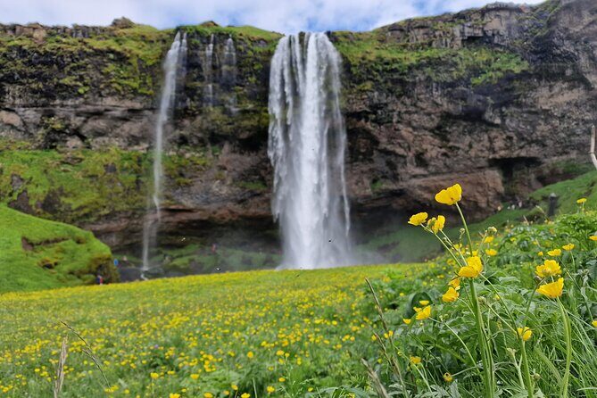 South Iceland, Glacier and Black Sand Beach Small Group Tour - From Reykjavik to the South Coast in a small group van