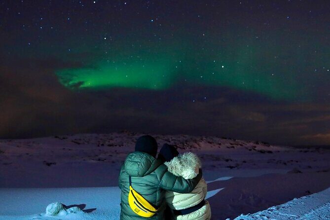 South Iceland Highlights and Northern Lights Combo Full-Day Tour - Two Parts, One Coach: How the Day Flows