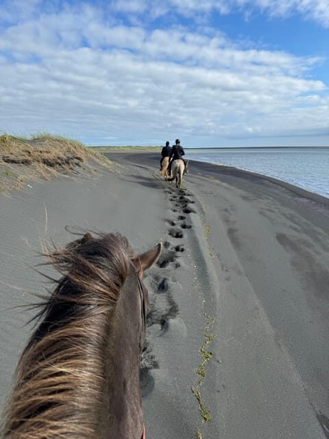 southern Iceland: Black beach riding tour - Quick reasons this tour scores high