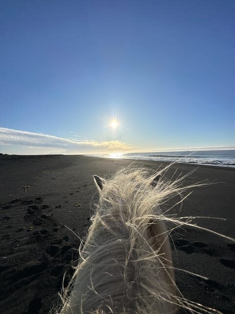 southern Iceland: Black beach riding tour - How Tölt Feels on an Icelandic Horse