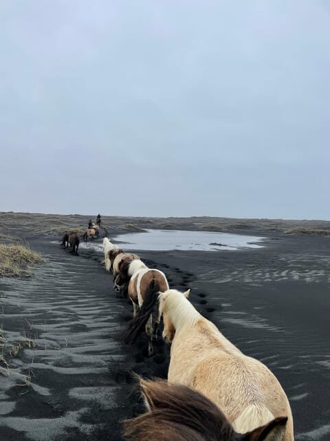 southern Iceland: Black beach riding tour - Scenery Highlights: Westman Islands to Eyjafjallajökull